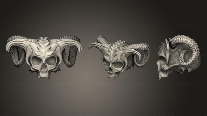 Anatomy of skeletons and skulls (Skull 3d, ANTM_1630) 3D models for cnc